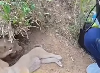 M2601002 Del dolor a la sanacion (Parte 2)