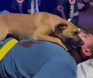 M2601003 Porque cada latido importa (Parte 2)