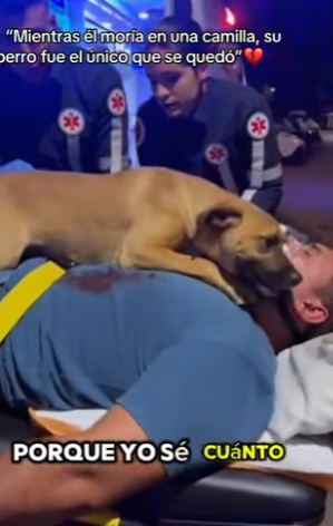 M2601003 Porque cada latido importa (Parte 2)