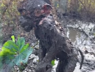 M2601005 Hoy la bondad hizo la diferencia (Parte 2)