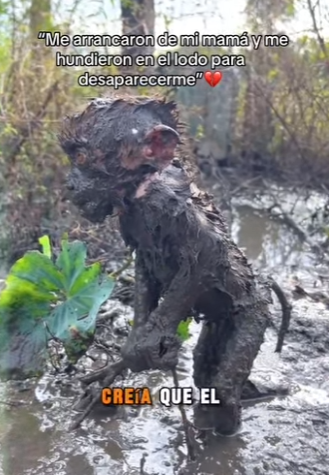 M2601005 Hoy la bondad hizo la diferencia (Parte 2)