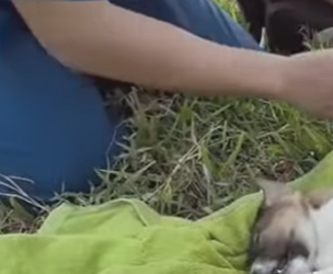 M2601007 Cuando llega la ayuda, llega la esperanza (Parte 2)