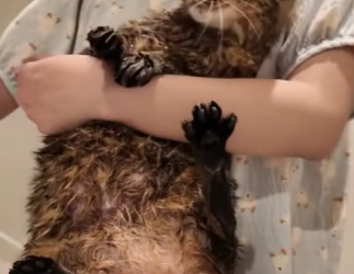 R2601007 De las sombras a la seguridad (Parte 2)