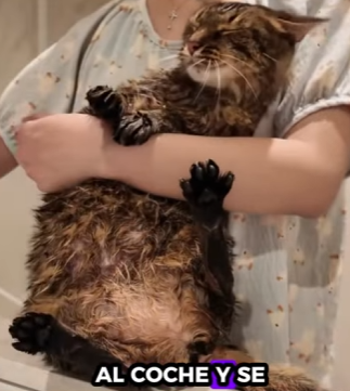 R2601007 De las sombras a la seguridad (Parte 2)