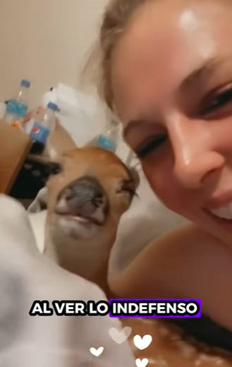 R2601006 El cuidado puede cambiar destinos (Parte 2)