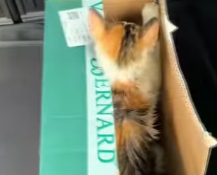 R2601005 El amor nunca se rinde (Parte 2)