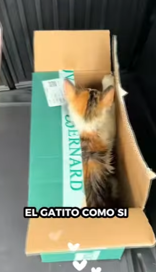 R2601005 El amor nunca se rinde (Parte 2)