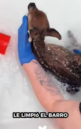 R2601003 La sanacion empieza con bondad (Parte 2)