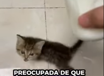 R2601002 Un futuro protegido por amor (Parte 2)