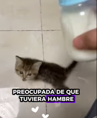 R2601002 Un futuro protegido por amor (Parte 2)