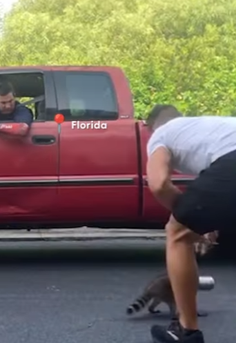 W2401004 Love arrived just in time (Part 2)