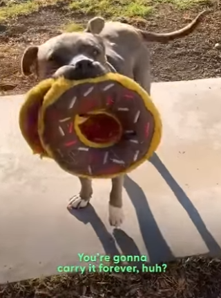 W2401001 Every life deserves a second chance (Part 2)