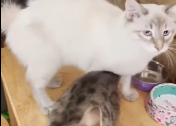 W2401002 From fear to safety in one moment (Part 2)