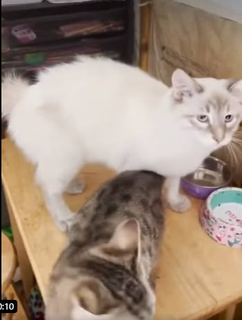 W2401002 From fear to safety in one moment (Part 2)