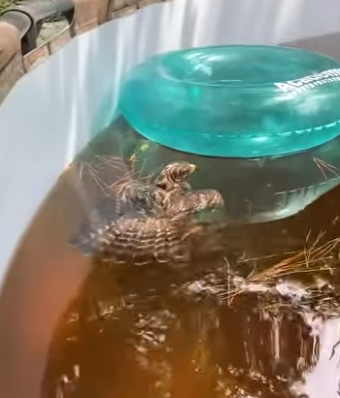 W2401003 Kindness can save a life (Part 2)