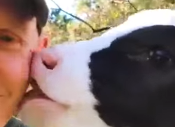 I2401002 Rescued cow loves (Part 2)