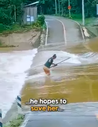 I2401010 dog walks away like nothing (Part 2)