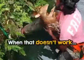 I2401007 Hero! Thanks saving little one life (Part 2)