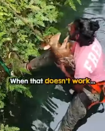 I2401007 Hero! Thanks saving little one life (Part 2)