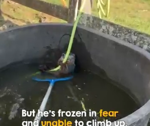 I2401005 Poor little thing, holding on dear life (Part 2)