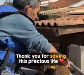 I2401006 Kindness Compassion (Part 2)