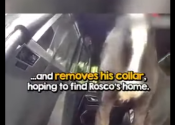 I2401001 true meaning of protect serve (Part 2)