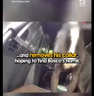 I2401001 true meaning of protect serve (Part 2)