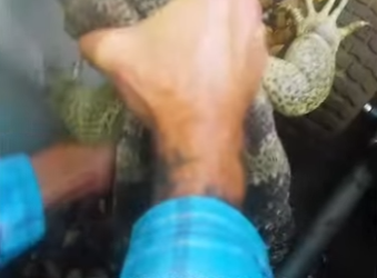 I2301006 Care brings courage (Part 2)