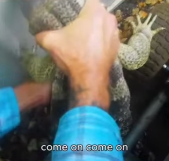 I2301006 Care brings courage (Part 2)