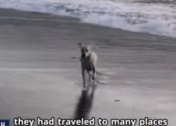 C2301001 Gentle hands, strong impact (Part 2)