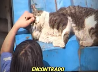 Por esto rescatamos (Parte 2)