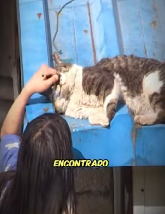 Por esto rescatamos (Parte 2)