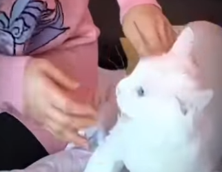 La compasion crea milagros (Parte 2)