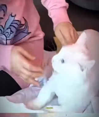 La compasion crea milagros (Parte 2)