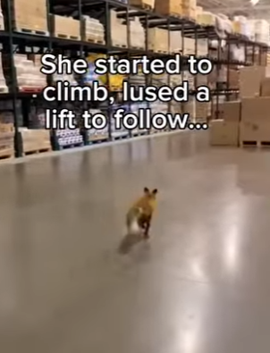 P2701002 One brave act can save a soul (Part 2)