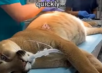 P2701001 Because no life should be forgotten (Part 2)