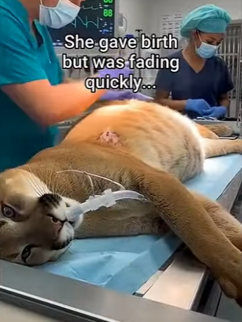 P2701001 Because no life should be forgotten (Part 2)