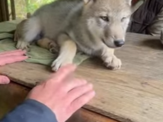 P2701009 Compassion turns fear into trust (Part 2)