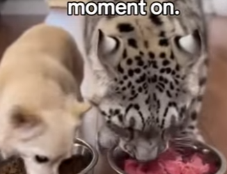 P2701005 A second chance begins here (Part 2)