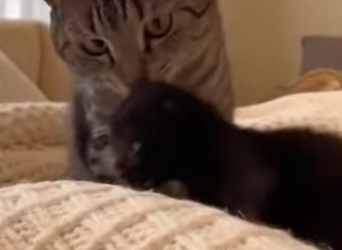 P2701004 From suffering to comfort (Part 2)