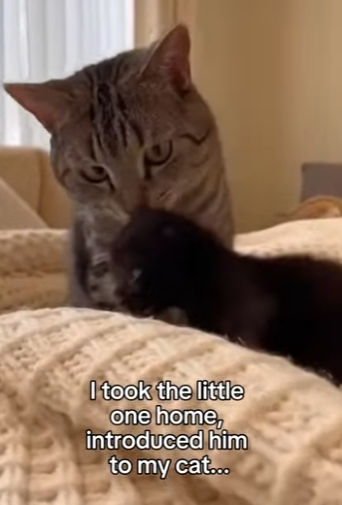 P2701004 From suffering to comfort (Part 2)