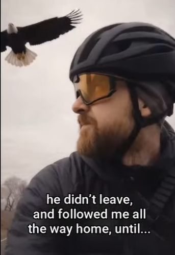 P2701003 From shadows into safety (Part 2)