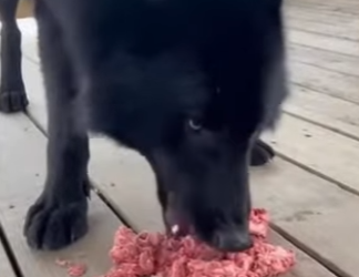 P2701006 Where kindness leads, healing follows (Part 2)