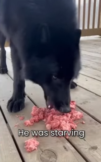 P2701006 Where kindness leads, healing follows (Part 2)