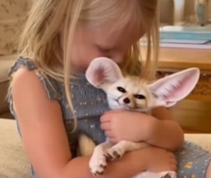 P2701012 Another heart saved today （Part 2)