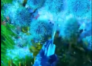 L2701002 Del peligro a un lugar seguro (Parte 2)