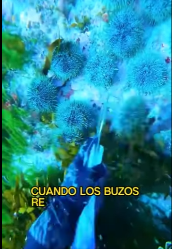 L2701002 Del peligro a un lugar seguro (Parte 2)