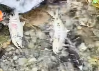 L2701014 Un futuro protegido por amor (Parte 2)