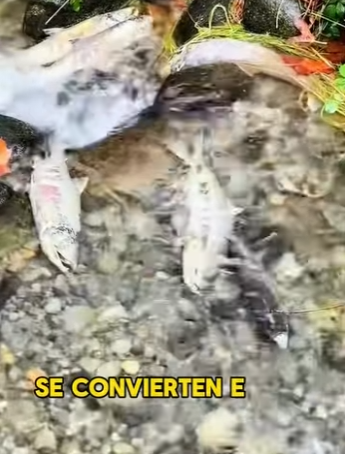 L2701014 Un futuro protegido por amor (Parte 2)