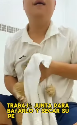 L2701006 La esperanza nace con compasion (Parte 2)